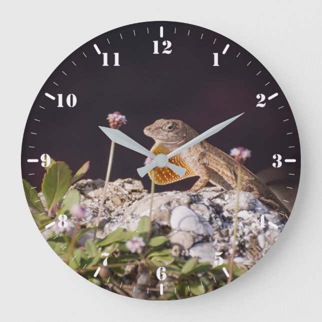 Grande Horloge Ronde Anole Brown affichant le débrayage (Recto)