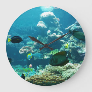 Grande Horloge Ronde aqua meer fisch sea