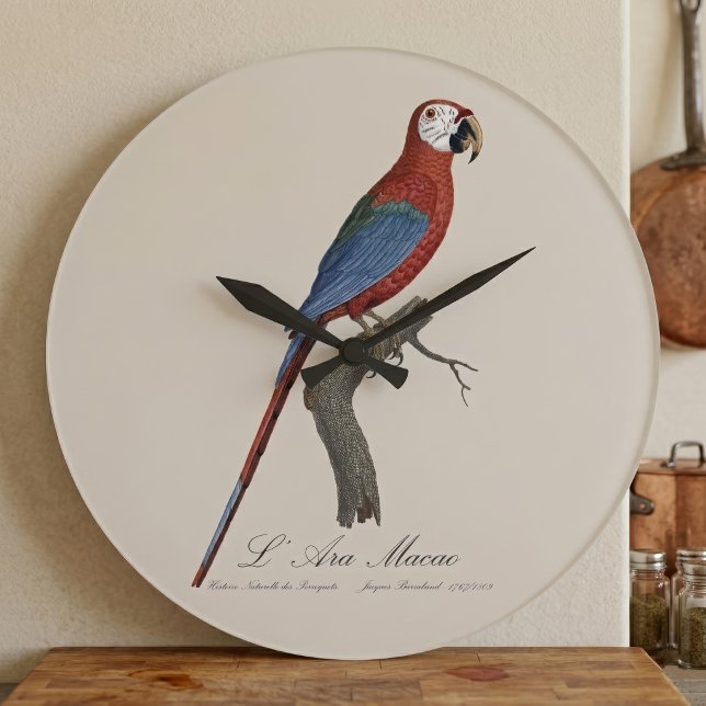 Grande Horloge Ronde Ara chloroptère (Red-and-green Macaw, Ara chloropterus. Large Clock)