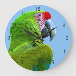 Grande Horloge Ronde Ara Militaris Green Parrot