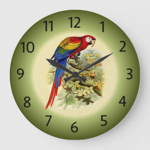 Grande Horloge Ronde Arara macao - Ara macao - Scarlet Macaw - ~