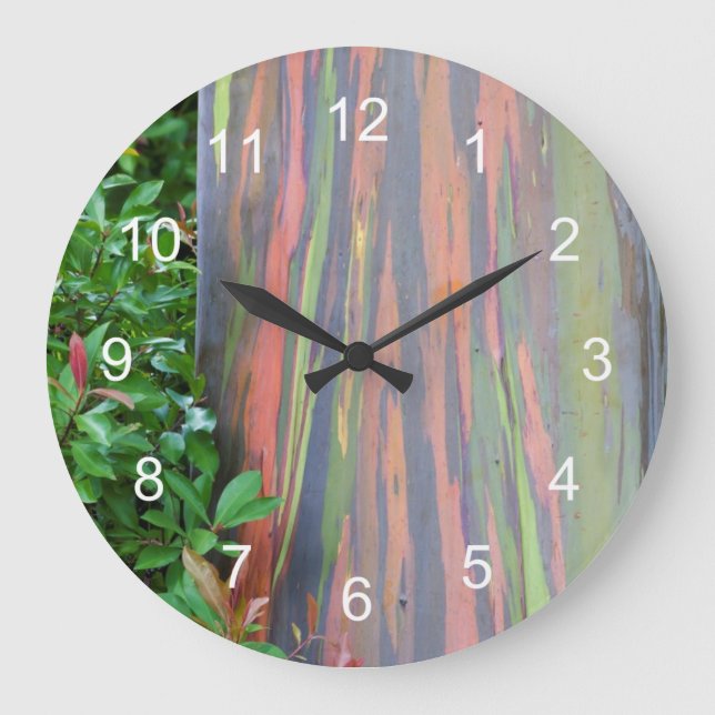 Grande Horloge Ronde Arbre à eucalyptus arc-en-ciel (Recto)
