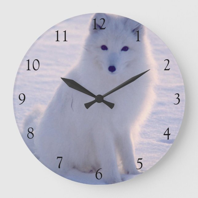 Grande Horloge Ronde Arctic White Fox Winter Alaska Photo Conçu (Recto)