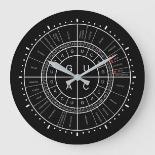 Grande Horloge Ronde ARN to AMINO ACID CODON WHEEL