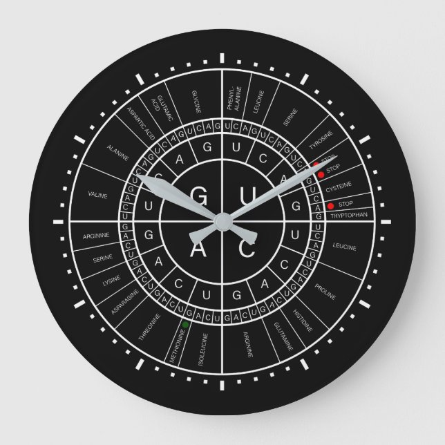 Grande Horloge Ronde ARN to AMINO ACID CODON WHEEL (Recto)