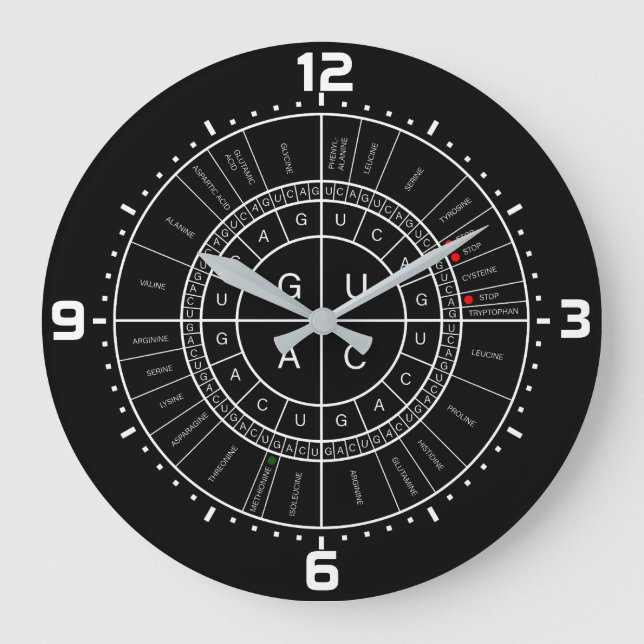 Grande Horloge Ronde ARN to AMINO ACID CODON WHEEL (Recto)