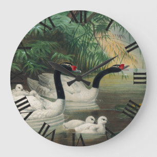Grande Horloge Ronde Art Vintage de la famille des cygnes noirs sauvage