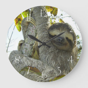 Grande Horloge Ronde Assigne vers le haut d'un arbre