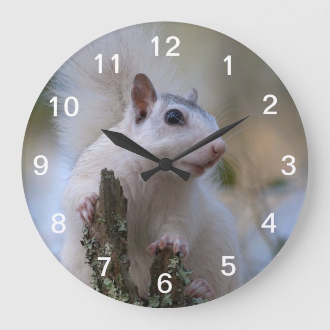 Grande Horloge Ronde Astronaute de Squerrl (Recto)
