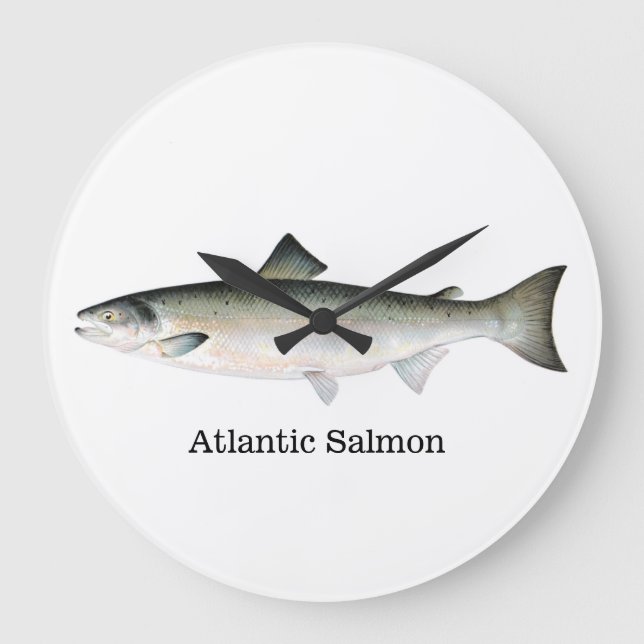 Grande Horloge Ronde Atlantic Salmon Fish (Recto)
