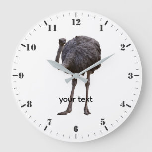 Grande Horloge Ronde Autruche dans son habitat naturel 