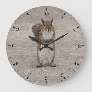 Grande Horloge Ronde Avez-vous des noix ?