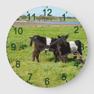 Grande Horloge Ronde Baby Belted Galloway Calves, Wall Clock