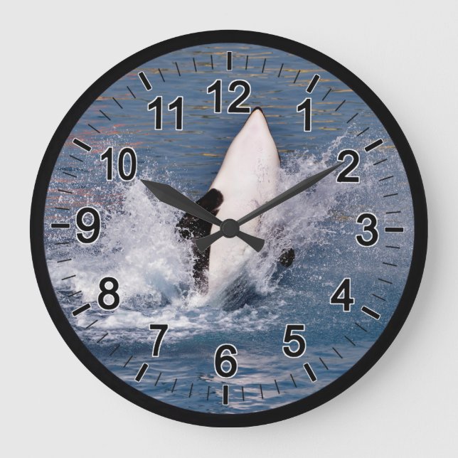 Grande Horloge Ronde Baleine tueuse sautant hors de l'eau (Recto)