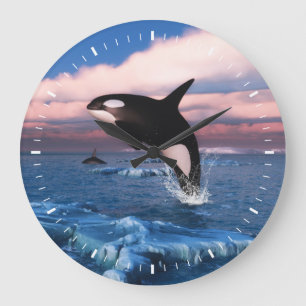 Grande Horloge Ronde Baleines tueuses dans l'océan Arctique