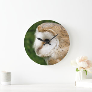 GRANDE HORLOGE RONDE BARN OWLS