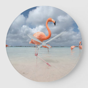 Grande Horloge Ronde Beaches tropicales   Flamingos Beach, Aruba