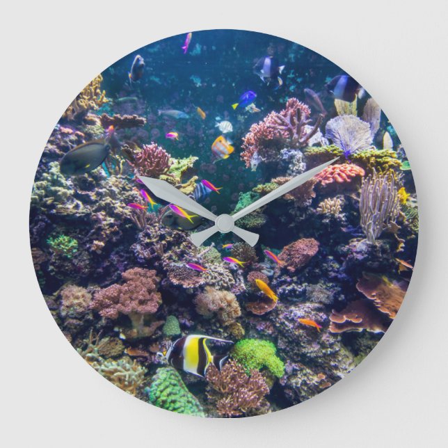 Grande Horloge Ronde Beaches tropicales | Underwater Coral Reef (Recto)