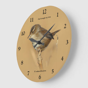 Grande Horloge Ronde Beau oiseau-chanteur de marais Wren sur Branche