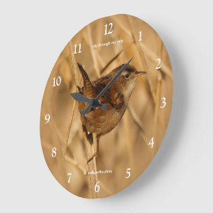 Grande Horloge Ronde Beau oiseau chanteur porté par le marais dans les