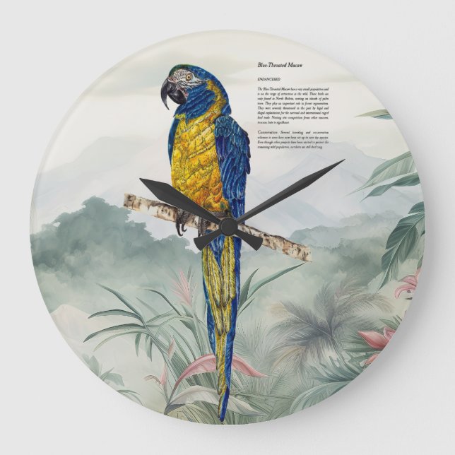 Grande Horloge Ronde Beautiful nature inspired Endangered Macaw (Recto)
