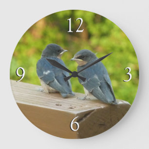 Grande Horloge Ronde Bébé Hirondelles de Ferme Photographie de la Natur