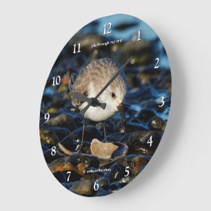 Grande Horloge Ronde Bécasseau Cendré Mignon Oiseau de Rivage Dîne sur