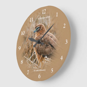 Grande Horloge Ronde Belle buse de Harrier du Nord dans le marais