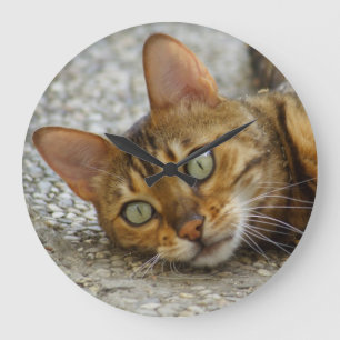Grande Horloge Ronde Belle Chat Bengale