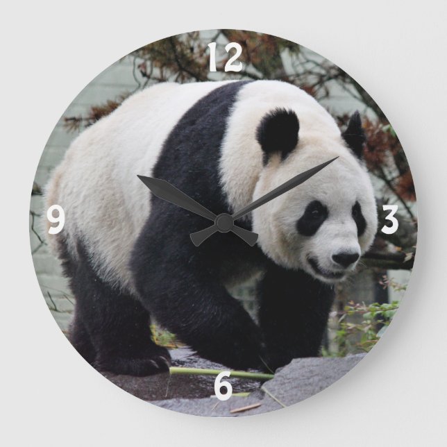 Grande Horloge Ronde Belle Panda Géante Femme (Recto)