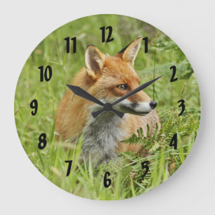 Grande Horloge Ronde Belle Renard Rouge / Vixen
