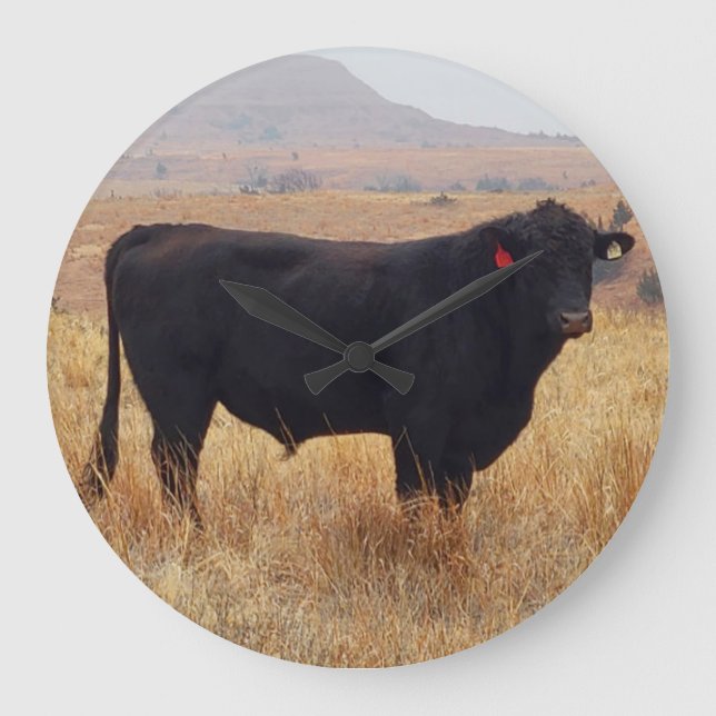 Grande Horloge Ronde Black Angus Steer Grazing (Recto)