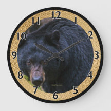 Black Bear Magistence