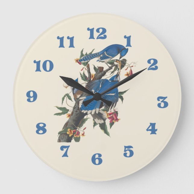 Grande Horloge Ronde Blue Jays Par John James Audubon (Recto)