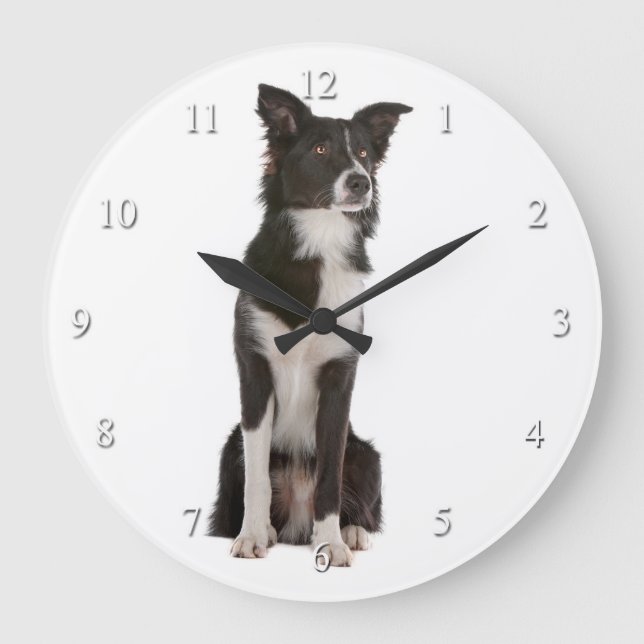 Grande Horloge Ronde Border Collie Clock (Recto)