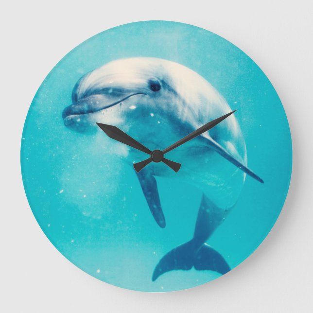 Grande Horloge Ronde Bottlenosed Dolphin Underwater (Recto)