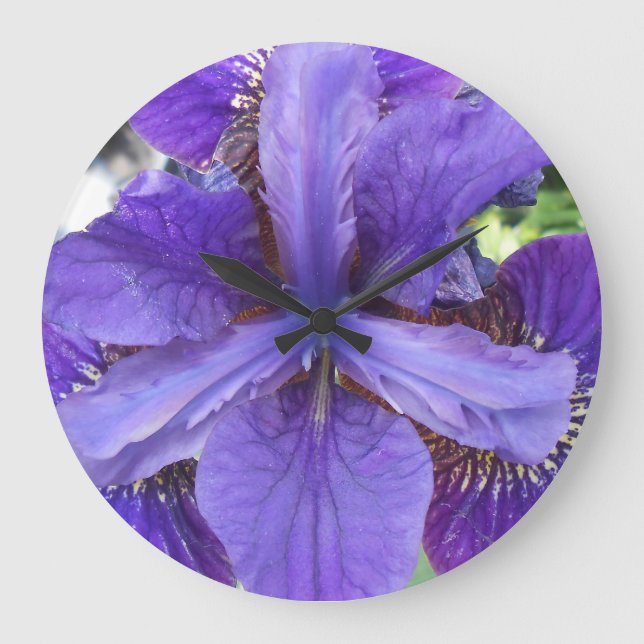 Grande Horloge Ronde Brandeis (Recto)