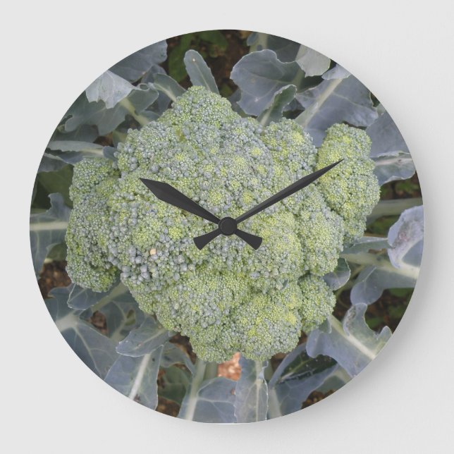Grande Horloge Ronde Brocoli Wall Clock (Recto)