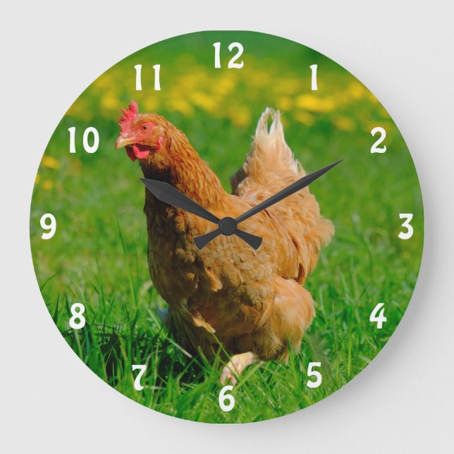 Grande Horloge Ronde Brown Laying Hen (Recto)