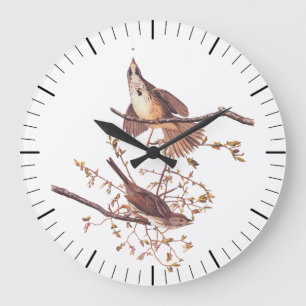 Grande Horloge Ronde Bruant de chanson Audubon avec araignée minuscule