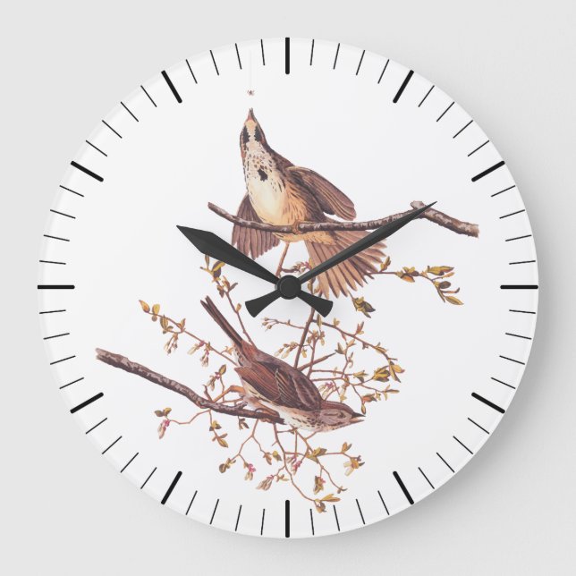 Grande Horloge Ronde Bruant de chanson Audubon avec araignée minuscule (Recto)