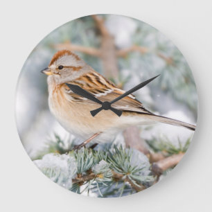 Grande Horloge Ronde Bruant hudsonien en hiver