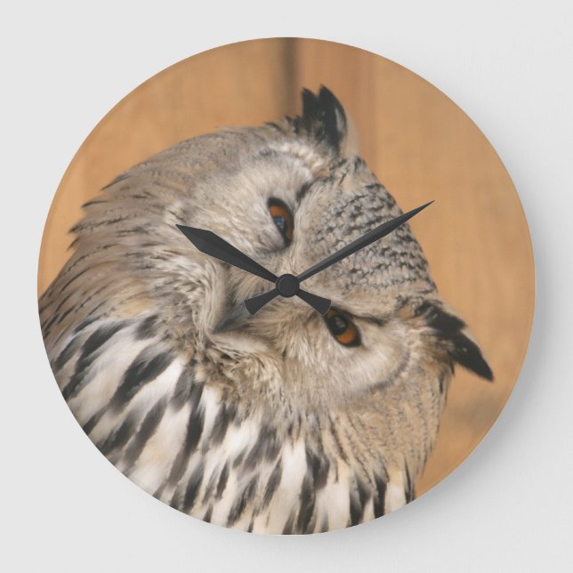 Grande Horloge Ronde Bubo bubo sibiricus (Recto)