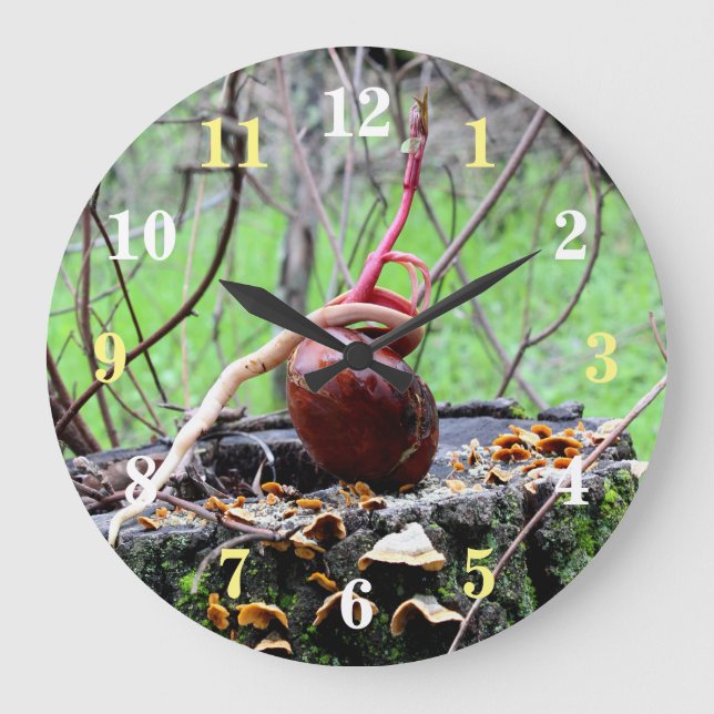 Grande Horloge Ronde Buckeye Tree Sprout Round Wall Clock (Recto)