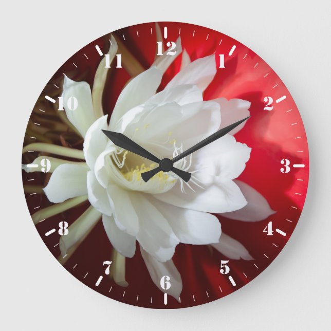Grande Horloge Ronde Cactus en fleurs blanches (Recto)