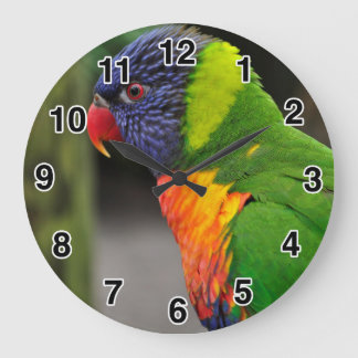 Grande Horloge Ronde Cadran de perroquet coloré