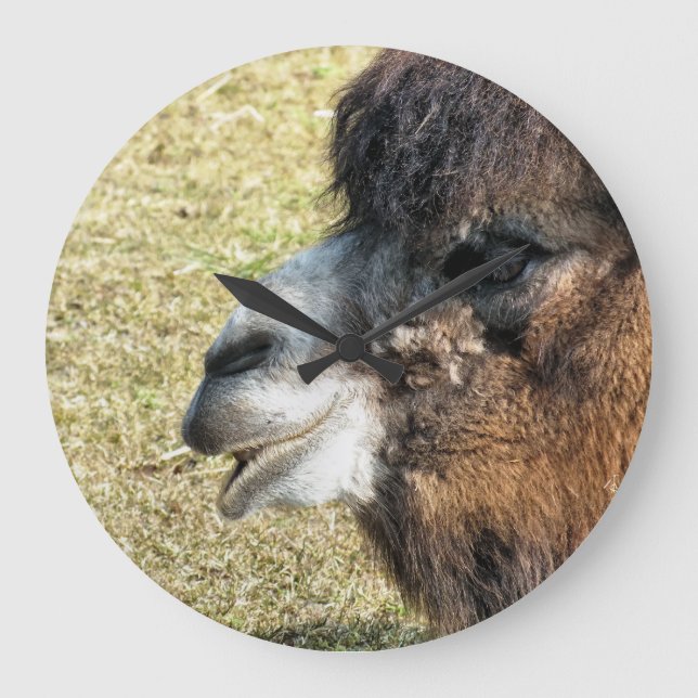 GRANDE HORLOGE RONDE CAMELS (Recto)