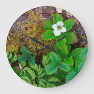 Grande Horloge Ronde Canada, Nouveau-Brunswick, , 2