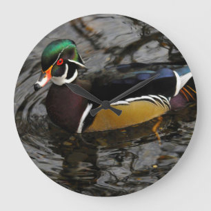 Grande Horloge Ronde Canard branchu mâle à Crystal Springs Rhododendron
