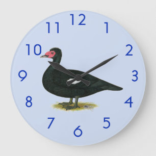 Grande Horloge Ronde Canard musqué noir mâle